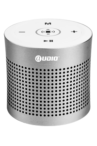 Speaker